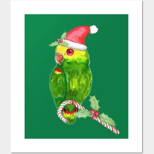 Amazon parrot Christmas style Posters and Art